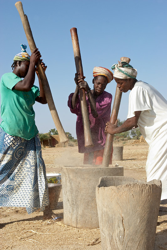 28   Women threshing millet near Kessedougou